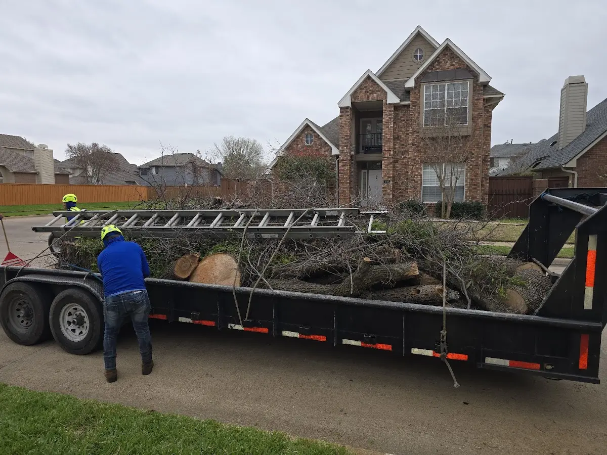 Expert Lot Clearing with proper safety equipment in Hartleton